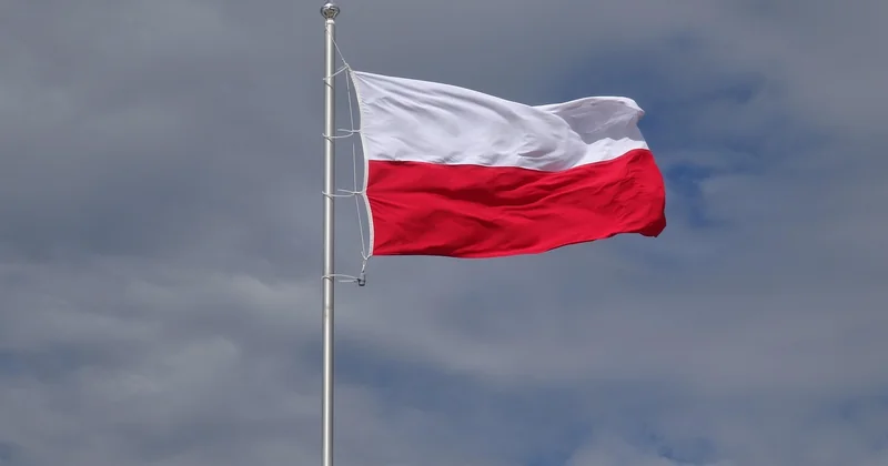 Ce que « siedem » désigne en polonais