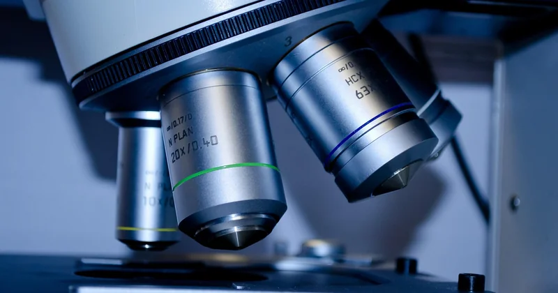 Les outils d'analyse et la nature des informations qu'ils fournissent